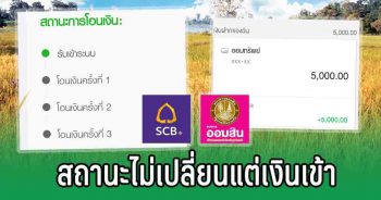 เข้าแล้ว เยียวยาเกษตรกร