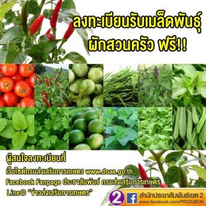 ลงทะเบียนรับพื้นพันธุ์ผักฟรี